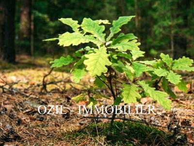 photo For sale Land EUZET 30