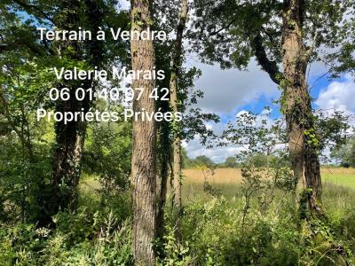 Vente Terrain SAINT-LYPHARD  44