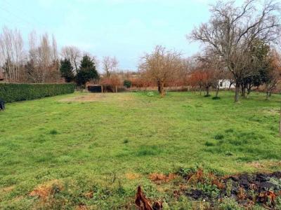 photo For sale Land BERSON 33