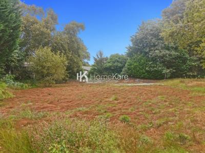 photo For sale Land BELIN-BELIET 33