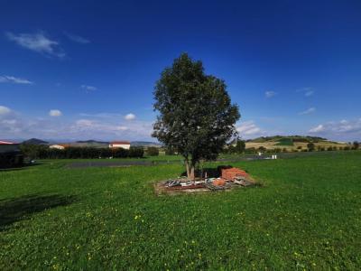 For sale Land EGLISENEUVE-PRES-BILLOM  63