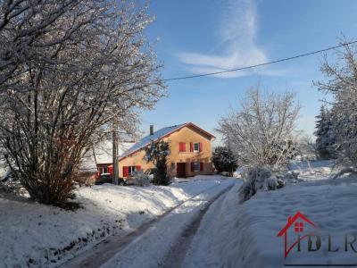 Vente Maison 9 pices CHAMPDRAY 88640