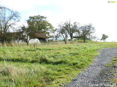 Vente Terrain ROMONT  88