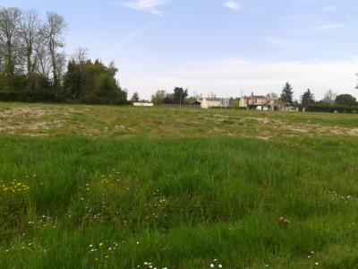 For sale Land VILLEMUR-SUR-TARN  31