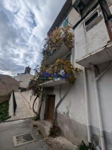 For sale House OLETTE  66