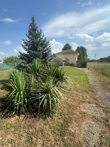 Vente Maison 6 pices BEAUREPAIRE 38270