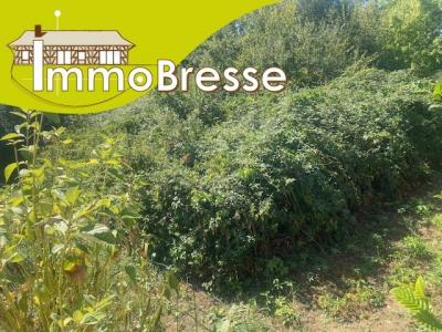 For sale Land MONTREVEL-EN-BRESSE  01