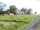 For sale Land Romont  88700