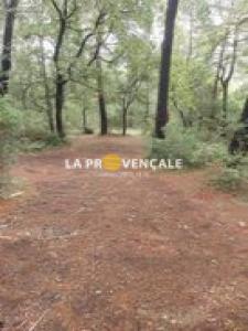 Vente Terrain NANS-LES-PINS 83860