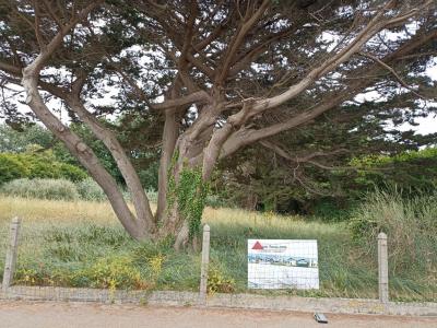 photo For sale Land BERNIERES-SUR-MER 14