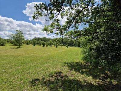 Vente Terrain CASTELNAU-MONTRATIER 46170