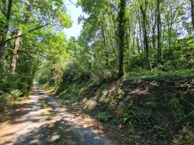 For sale Land ROQUECOURBE  81