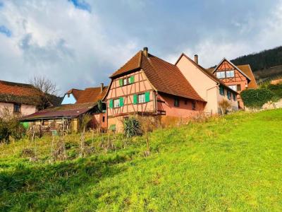 For sale House REICHSFELD  67