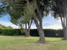 For sale Land Vernegues  13116 540 m2