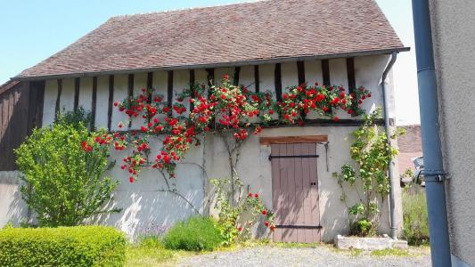 Vente Maison SELLE-EN-HERMOY 