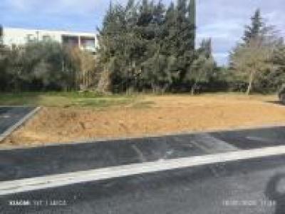 Vente Maison NARBONNE 11100