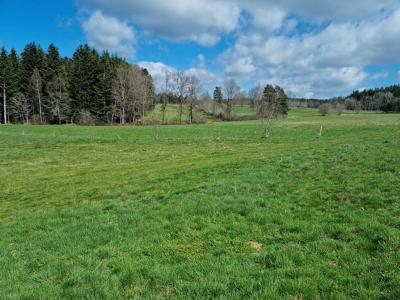 photo For sale Land SAINT-ROMAIN-LACHALM 43