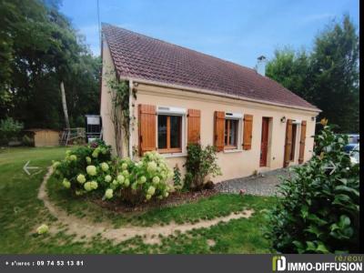 Vente Maison COURTENAY  45