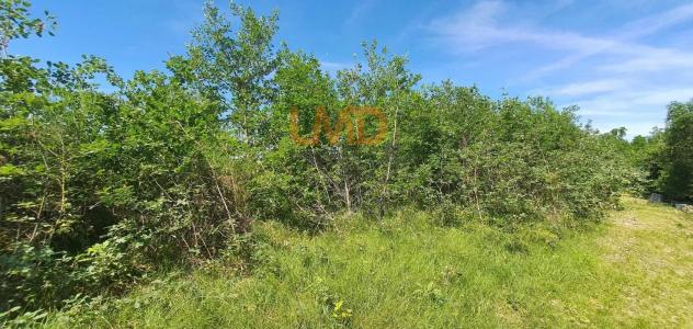 photo For sale Land MONTDURAUSSE 81