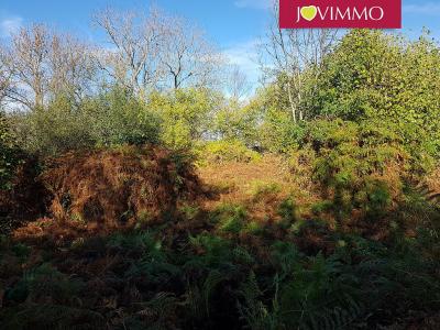 photo For sale Land AURIERES 63