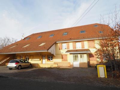 Vente Immeuble CHAUX 90330