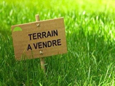 Vente Terrain CHALONNES-SUR-LOIRE 49290