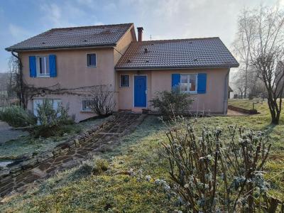 Vente Maison PROVENCHERE  70