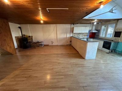 Vente Appartement 6 pices ISLE-SUR-LE-DOUBS 25250