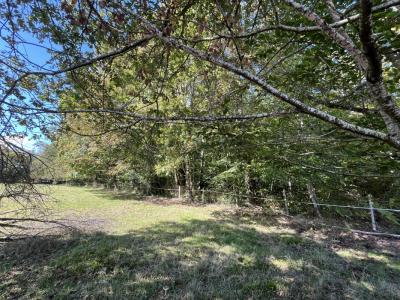 photo For sale Land SAINT-JUST-LE-MARTEL 87