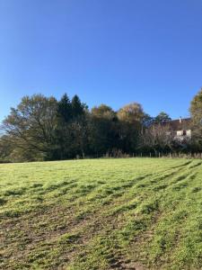 photo For sale Land COGNAC-LA-FORET 87