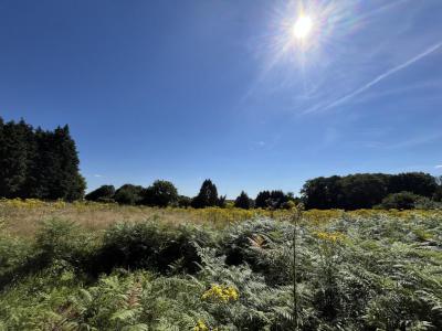 photo For sale Land BONNAC-LA-COTE 87