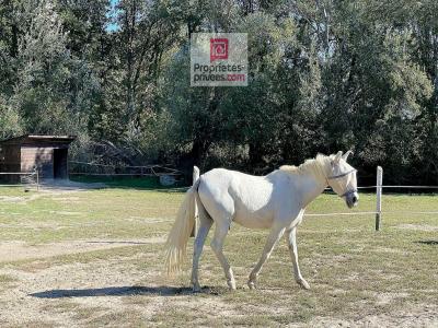 photo For sale House MOTTE-D'AIGUES 84