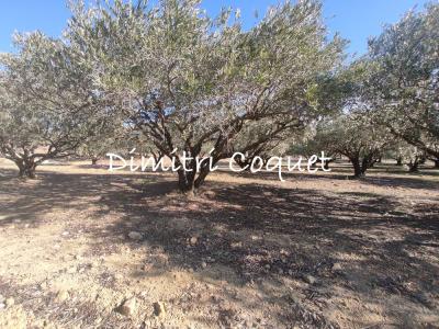 photo For sale Land PEZENAS 34