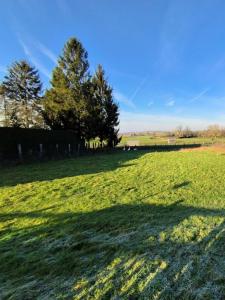 photo For sale Land CUY-SAINT-FIACRE 76