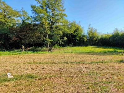 photo For sale Land POMPIGNAC 33