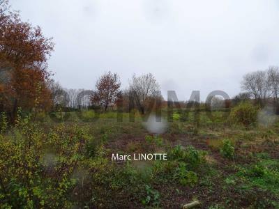 For sale Land TARTAS  40