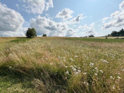 For sale Land CORGNAC-SUR-L'ISLE  24