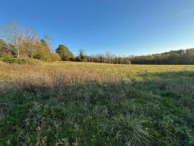 For sale Land SAINT-JEAN-DE-COLE  24