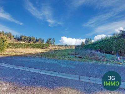 photo For sale Land SAINT-PAL-DE-MONS 43