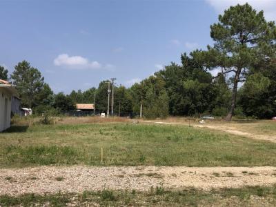 photo For sale Land MIOS 33