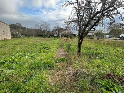 For sale Land REALMONT  81