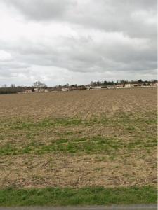 For sale Land JARNE  17