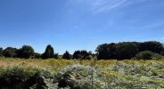 For sale Land Bonnac-la-cote  87270 1500 m2