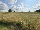 Land CORGNAC-SUR-L'ISLE 