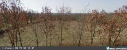 For sale Land Esclauzels  46090