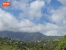 For sale Land Riviere-saint-louis  97421 326 m2