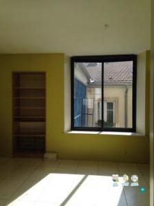 Location Appartement 3 pices NANCY 54000