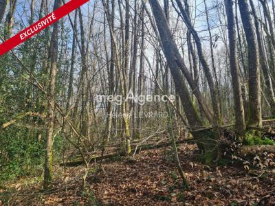 Vente Terrain SAINTE-GEMMES-LE-ROBERT  53