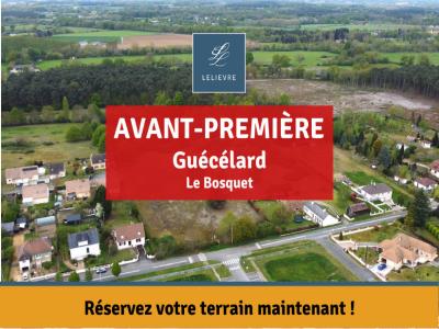 Vente Terrain GUECELARD 72230