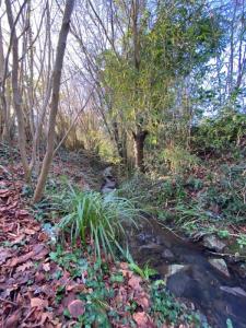 photo For sale House AURAY 56